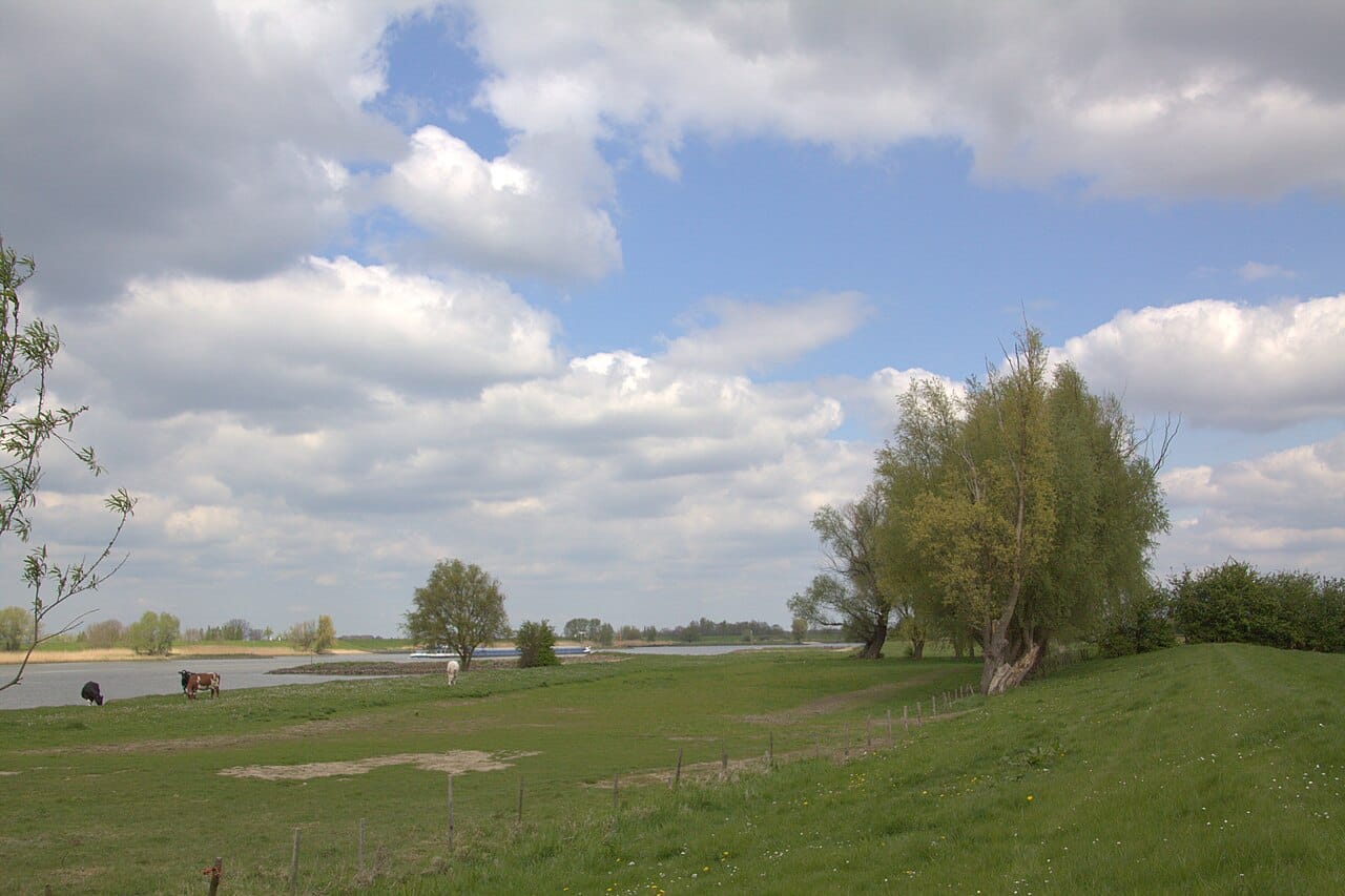 Wandelen in de uiterwaarden